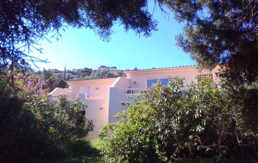 Location de vacances - Maison - Villa à Porto-Vecchio