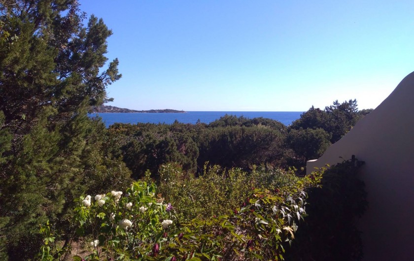 Location de vacances - Maison - Villa à Porto-Vecchio