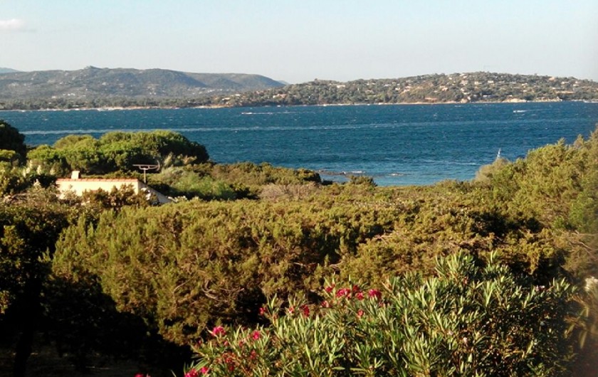 Location de vacances - Maison - Villa à Porto-Vecchio