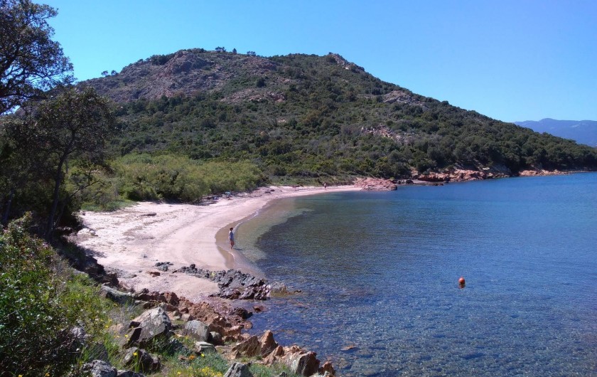 Location de vacances - Maison - Villa à Porto-Vecchio