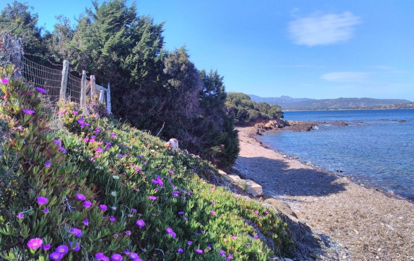 Location de vacances - Maison - Villa à Porto-Vecchio