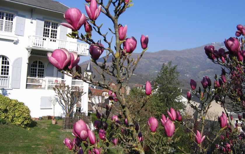 Location de vacances - Appartement à Argelès-Gazost - vue de la maison côté sud
magnolia en fleur