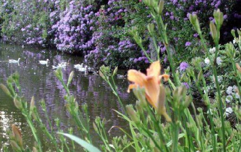 Location de vacances - Gîte à Varengeville-sur-Mer