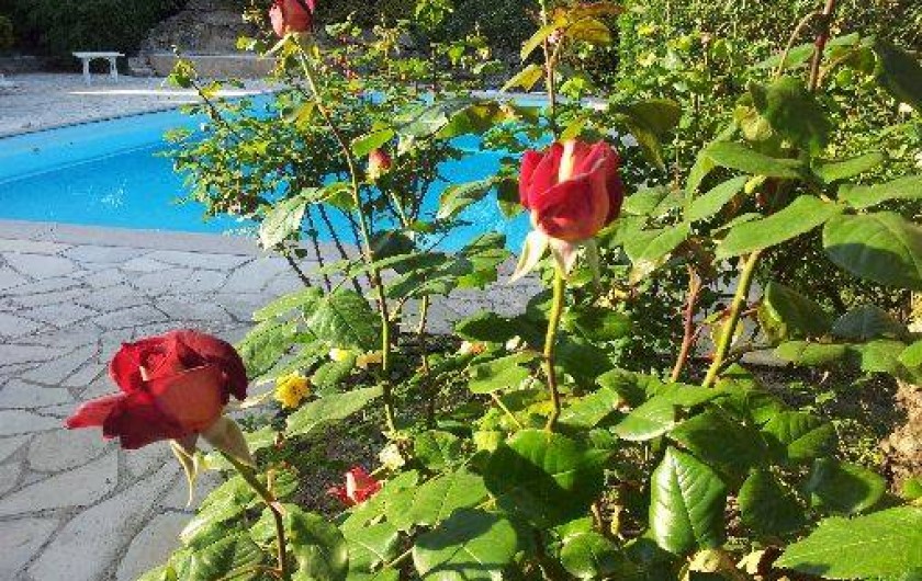 Location de vacances - Mas à Grasse