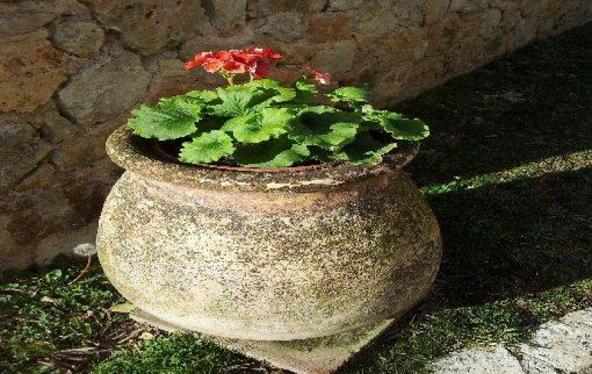 Location de vacances - Mas à Grasse