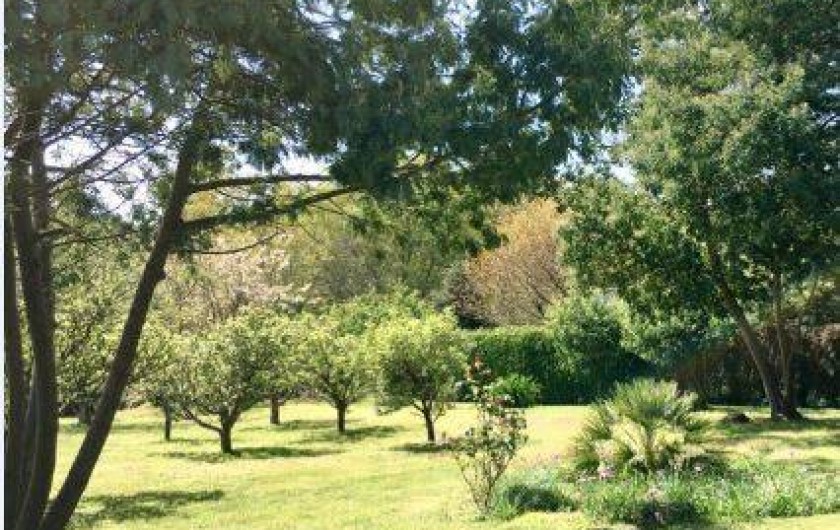 Location de vacances - Maison - Villa à Crozon