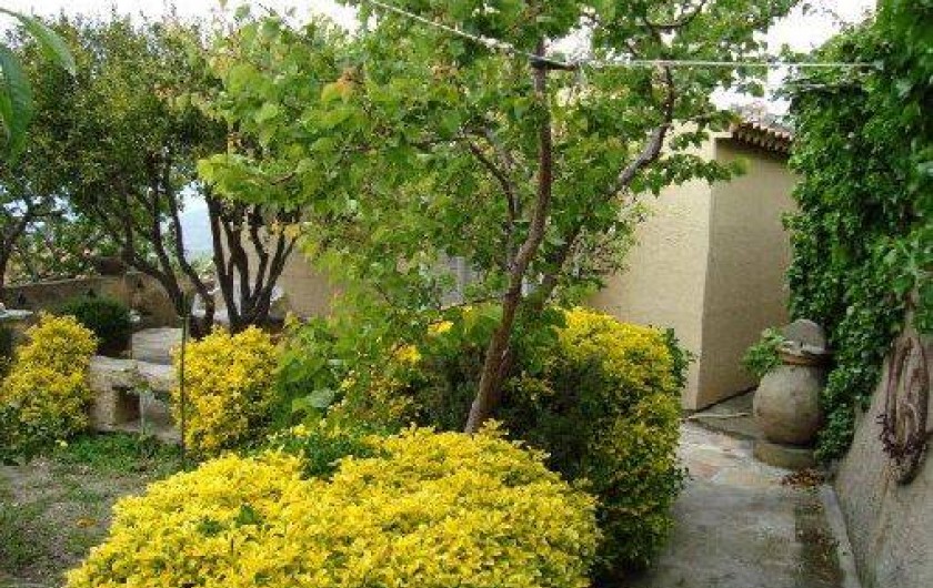 Location de vacances - Villa à Oletta