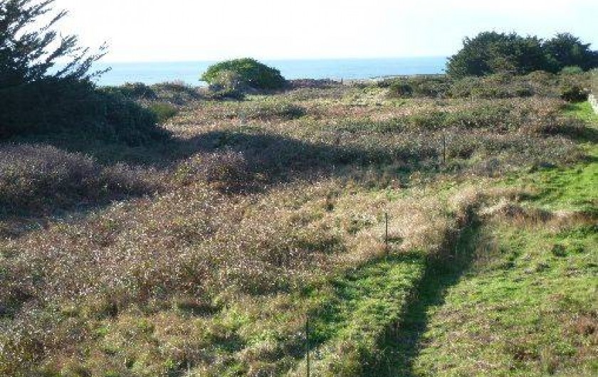 Location de vacances - Maison - Villa à Quiberon