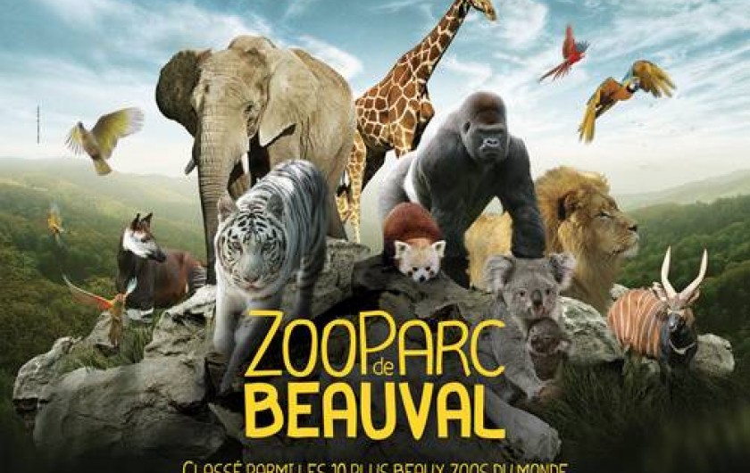 Location de vacances - Gîte à Seigy - Zoo de Beauval