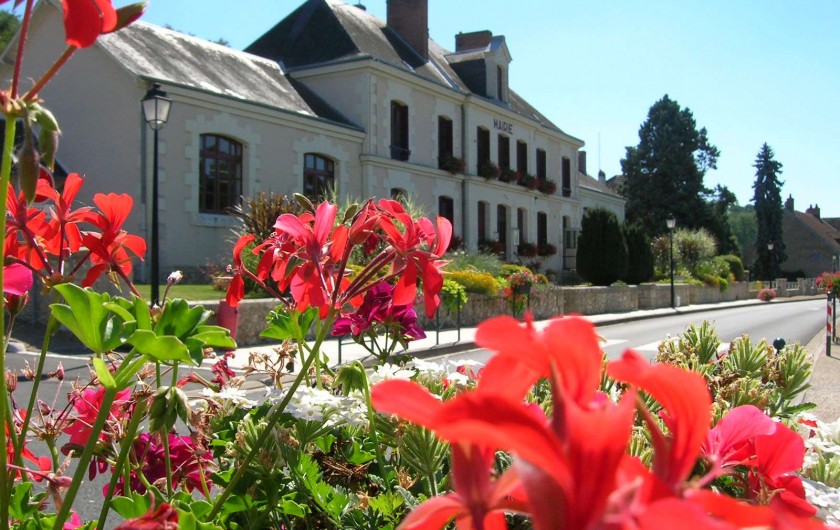Location de vacances - Gîte à Seigy - Seigy