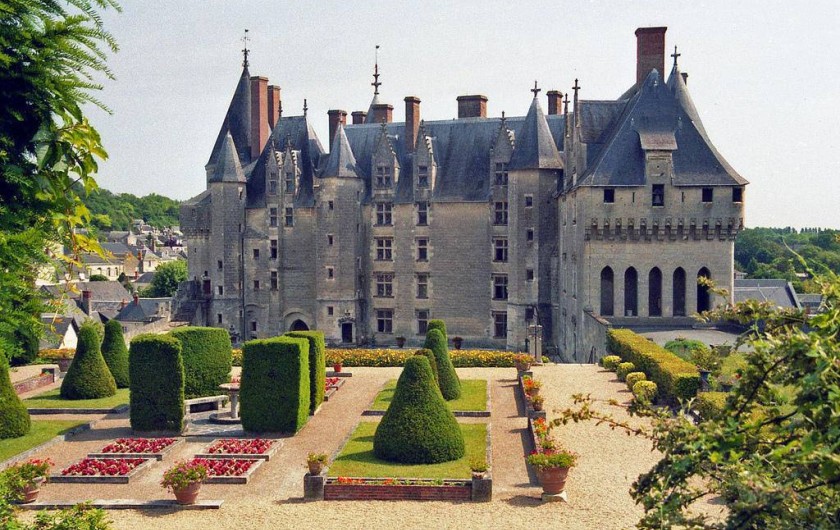 Location de vacances - Gîte à Seigy - Venez découvrir les plus beaux Châteaux de la Loire
