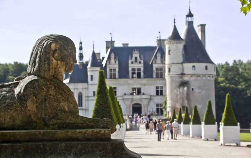 Location de vacances - Gîte à Seigy - Venez découvrir les plus beaux Châteaux de la Loire