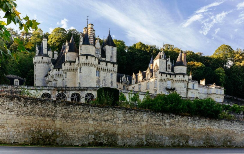 Location de vacances - Gîte à Seigy - Venez découvrir les plus beaux Châteaux de la Loire