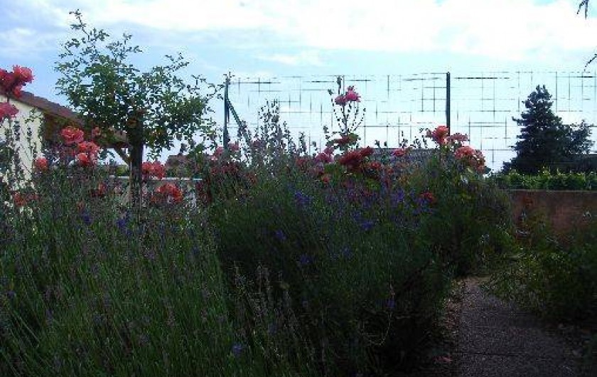 Location de vacances - Appartement à Colmar