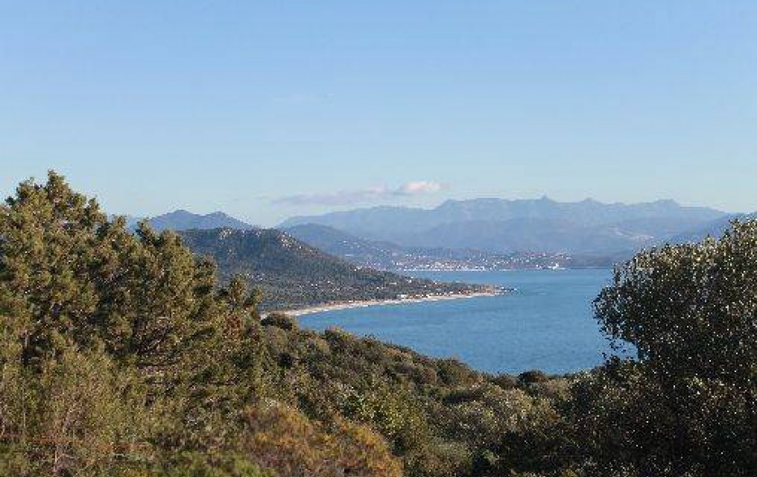 Location de vacances - Gîte à Olmeto