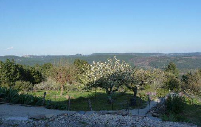 Location de vacances - Gîte à Malbosc - vue sur la foret