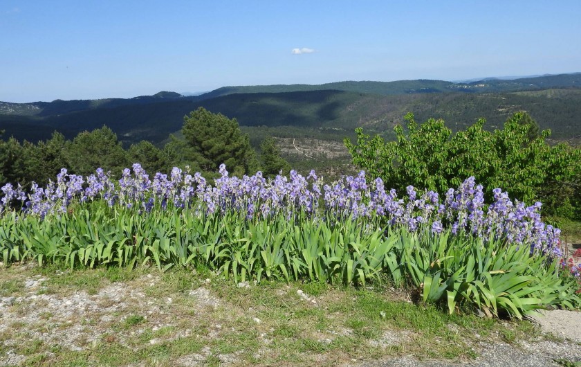 Location de vacances - Gîte à Malbosc - avec vue sur le ventoux