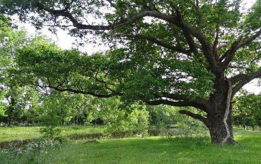 Location de vacances - Maison - Villa à Machecoul
