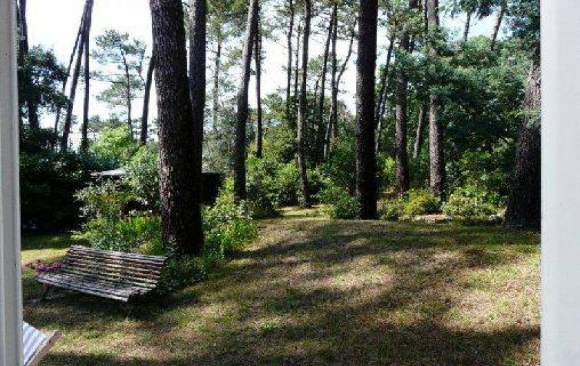 Location de vacances - Maison - Villa à Soorts