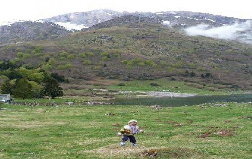 Location de vacances - Appartement à Arrens-Marsous