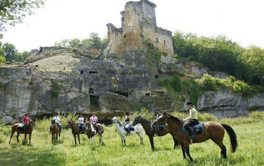 Location de vacances - Gîte à Tamniès