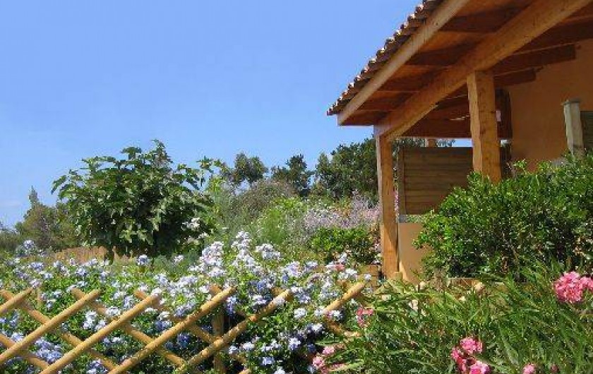 Location de vacances - Maison - Villa à Appietto