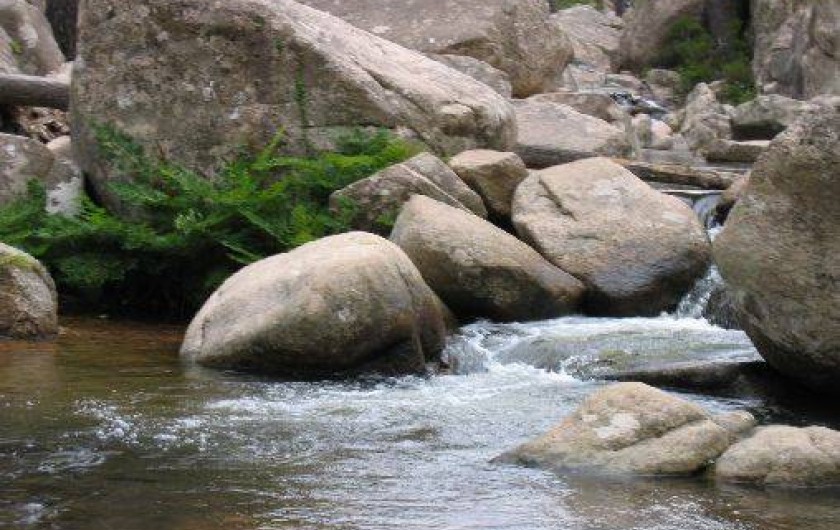 Location de vacances - Maison - Villa à Appietto