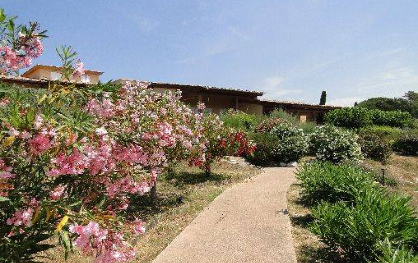 Location de vacances - Maison - Villa à Appietto