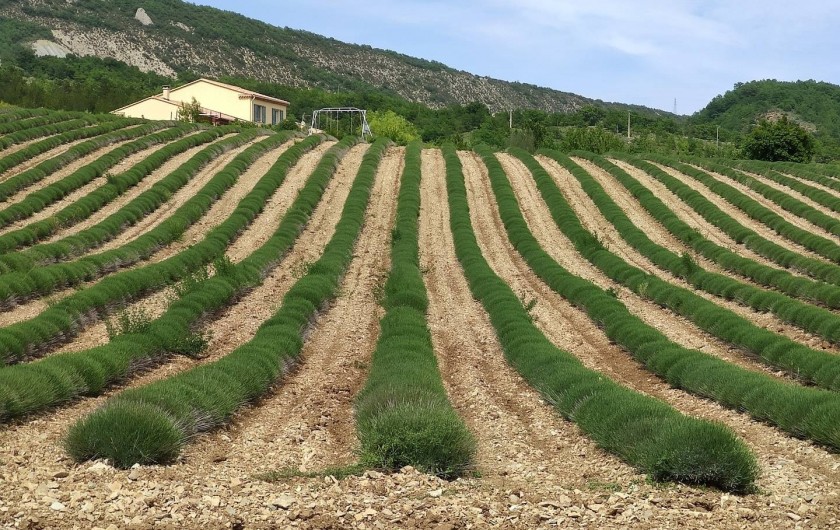 Location de vacances - Maison - Villa à Bevons