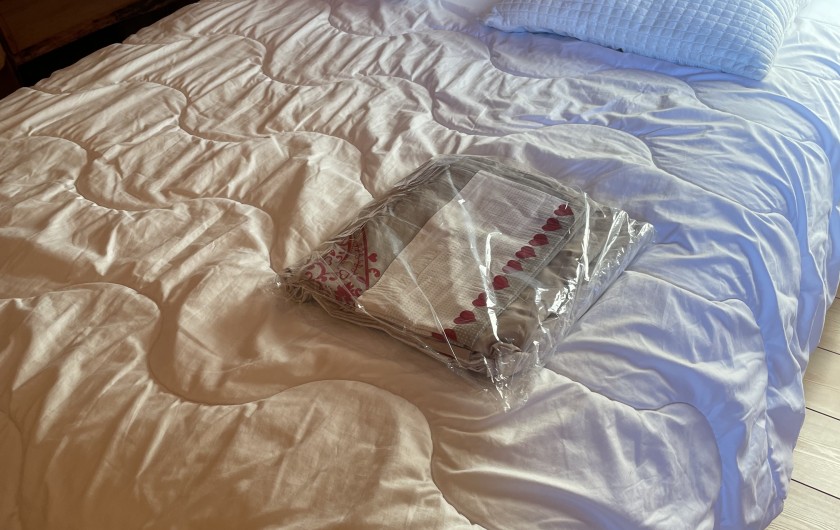 Location de vacances - Chalet à La Bresse