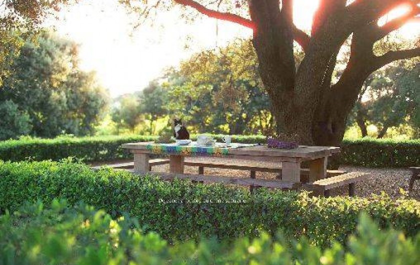 Location de vacances - Mas à Valréas