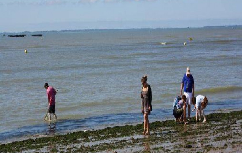 Location de vacances - Camping à La Tranche-sur-Mer