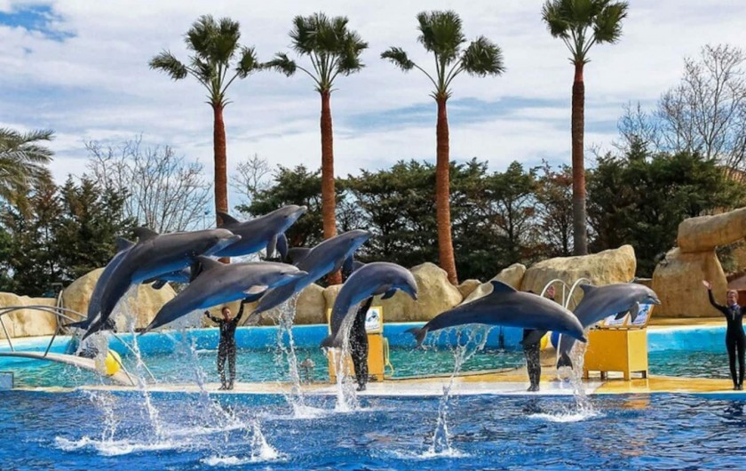 Location de vacances - Studio à Villeneuve-Loubet