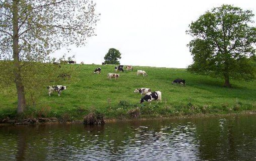 Location de vacances - Gîte à Saint-Hilaire-du-Harcouët