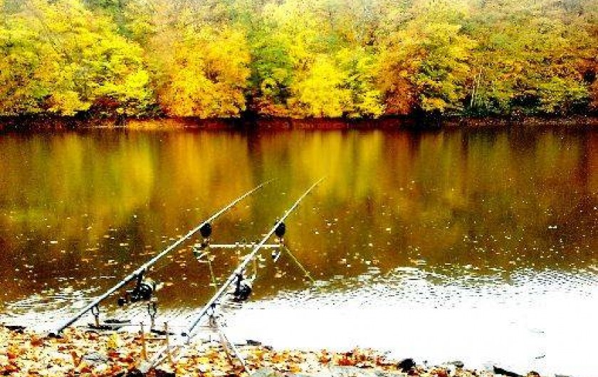 Location de vacances - Gîte à Saint-Hilaire-du-Harcouët