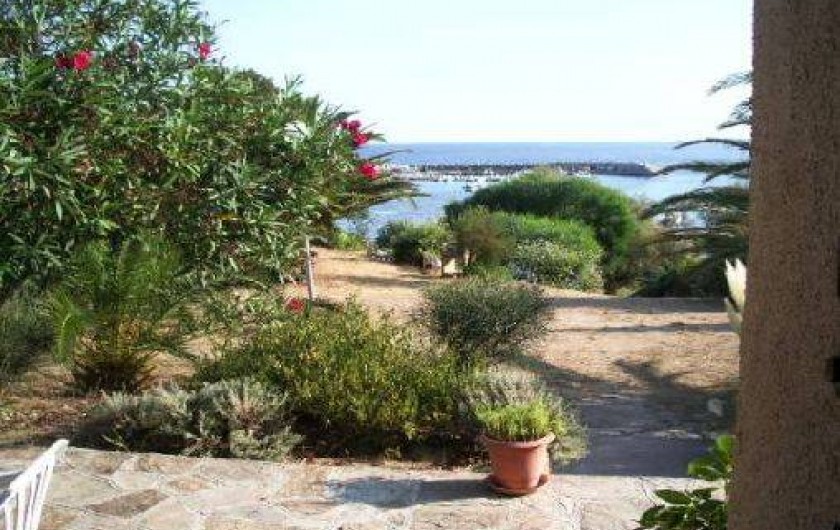 Location de vacances - Appartement à Algajola