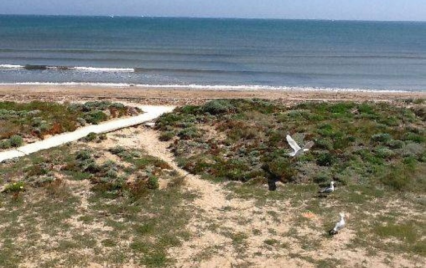 Location de vacances - Studio à Hyères