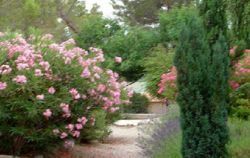 Location de vacances - Appartement à Éguilles - Des fleurs, des arbres un cadre qui vous enchantera.
