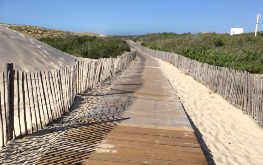 Location de vacances - Villa à Hourtin Plage - Accès plage
