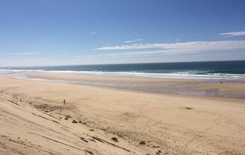 Location de vacances - Villa à Hourtin Plage - Plage