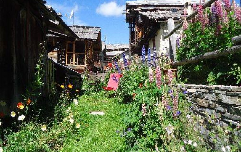 Location de vacances - Appartement à Saint-Véran - Le jardin
