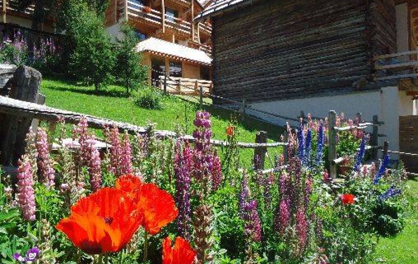 Location de vacances - Appartement à Saint-Véran - le jardin