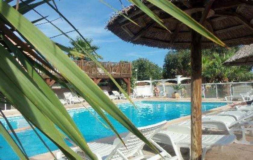 Location de vacances - Bungalow - Mobilhome à Fréjus