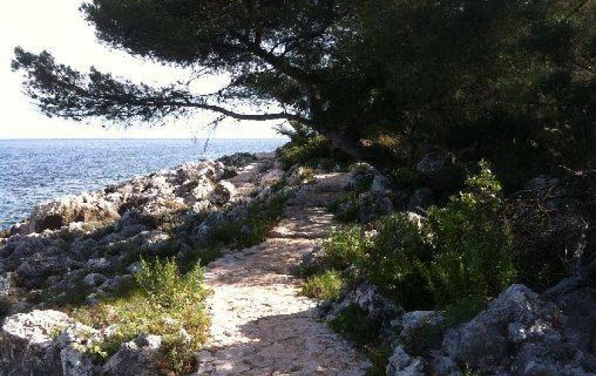 Location de vacances - Appartement à Nice