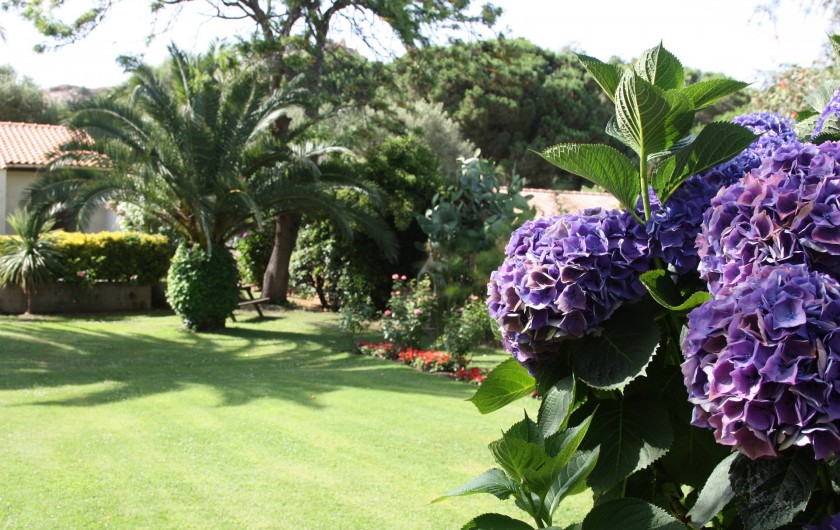 Location de vacances - Villa à Calvi