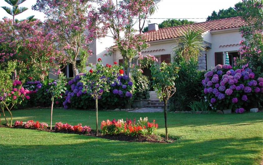 Location de vacances - Villa à Calvi