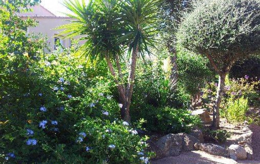 Location de vacances - Villa à Sainte-Lucie de Porto-Vecchio