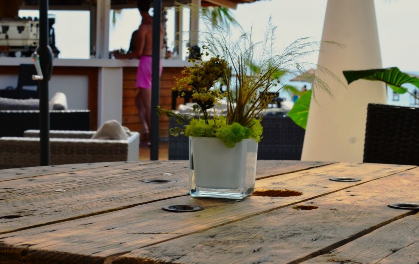 Location de vacances - Appartement à Santa-Lucia-di-Moriani