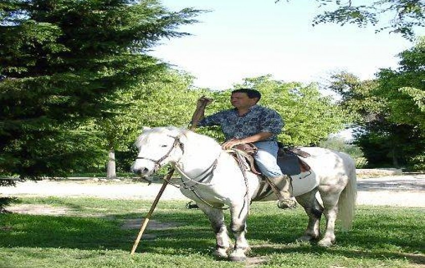 Location de vacances - Gîte à Arles