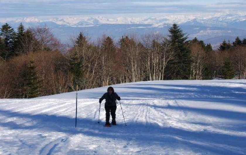 Location de vacances - Gîte à Plagne